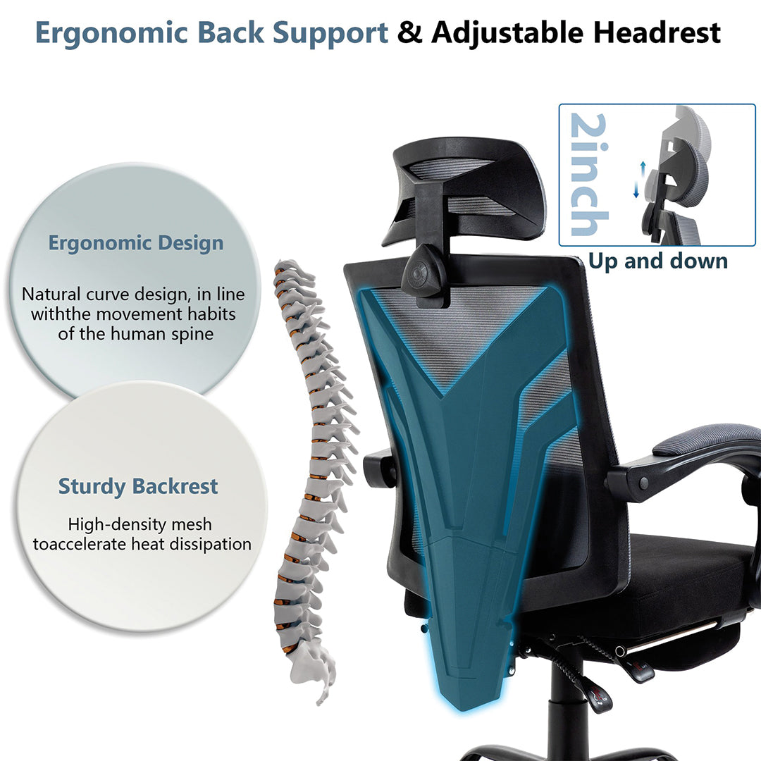 Ergo Task Office Chair with Lumbar Pillow