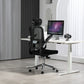 Ergonomic Office Chair with adjustable headrest