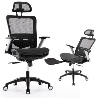 Figma Ergonomic Mesh Office Desk Chair