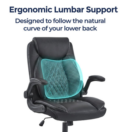 Nexa Pro Office Chair With Lumbar Support