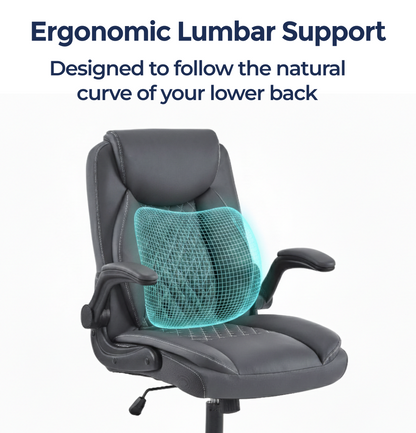 Nexa Pro Office Chair With Lumbar Support